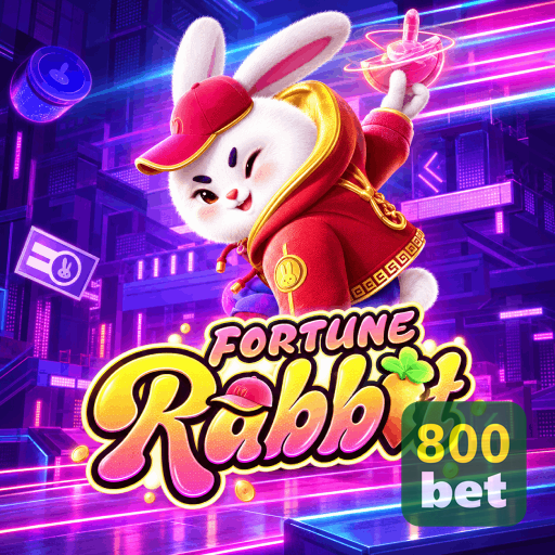 Campos de e-mail e senha na entrada da conta 800BET